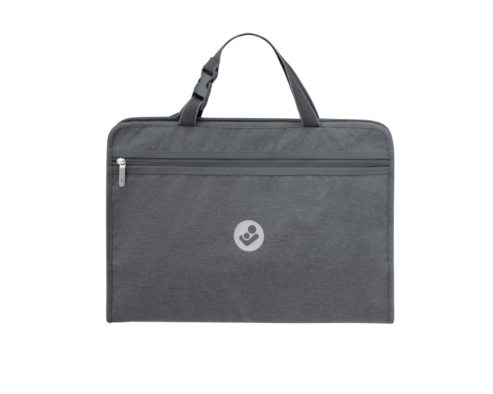 Back seat organiser
